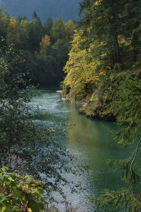 Elwha River Valley Rd.